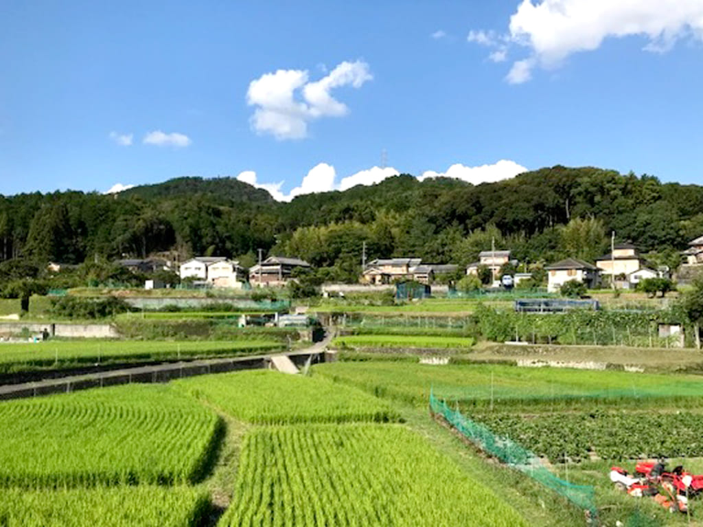 安満遺跡公園にて生協即売会