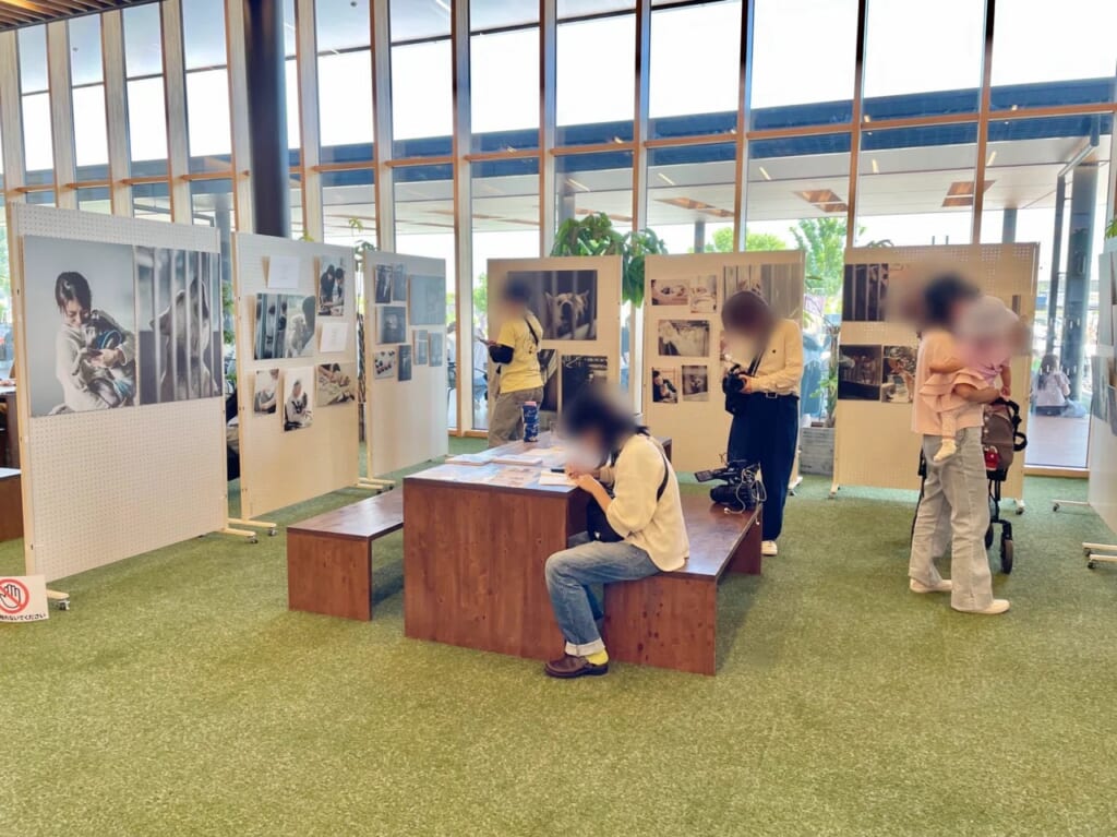 たきちみさと写真展「老犬猫と、ひと」