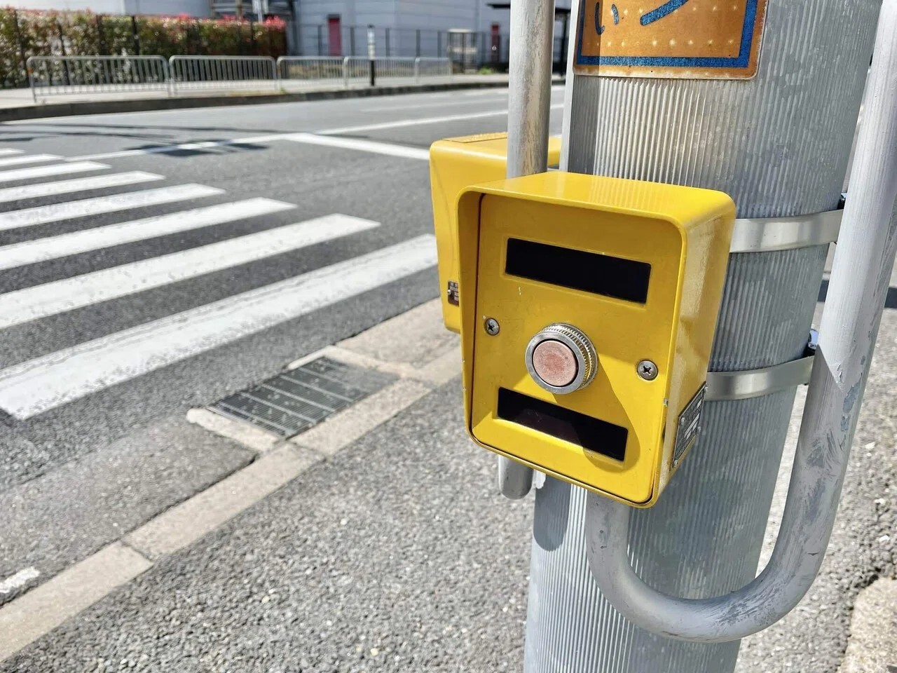 高槻市内の横断歩道