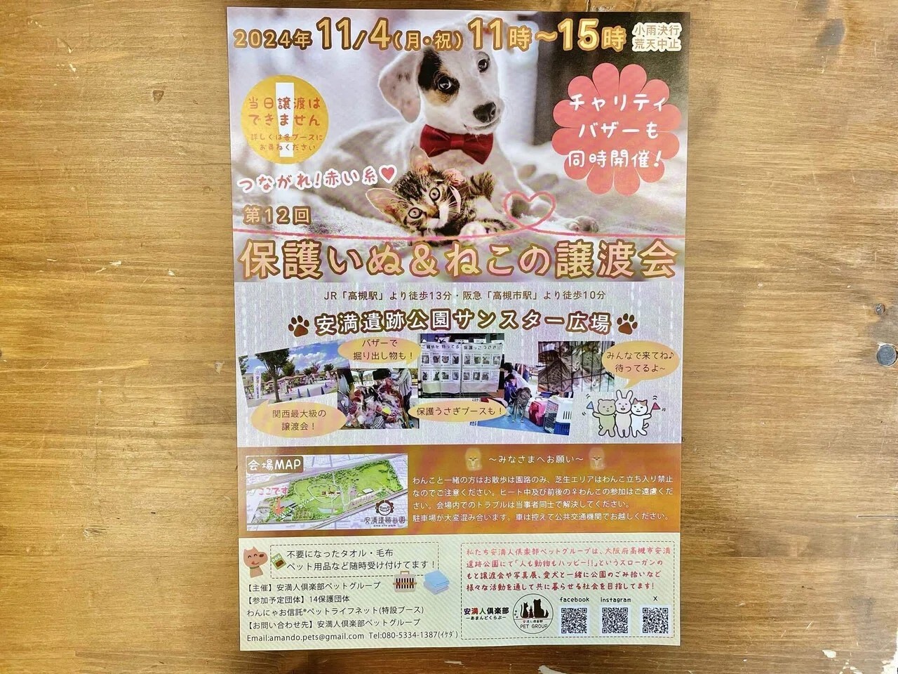 保護いぬ＆ねこの譲渡会