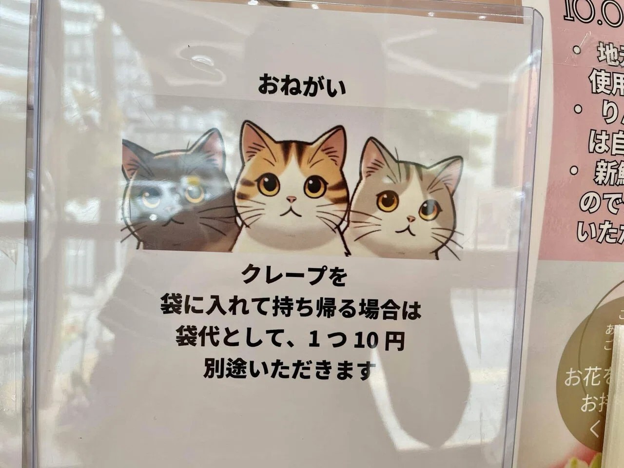 ねこのかえりみち