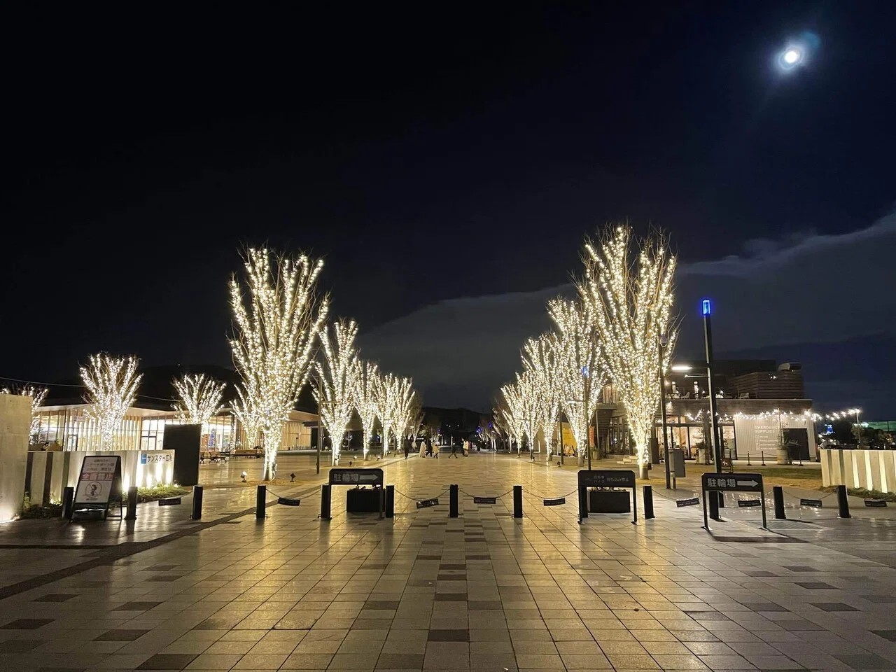 安満遺跡公園イルミネーション