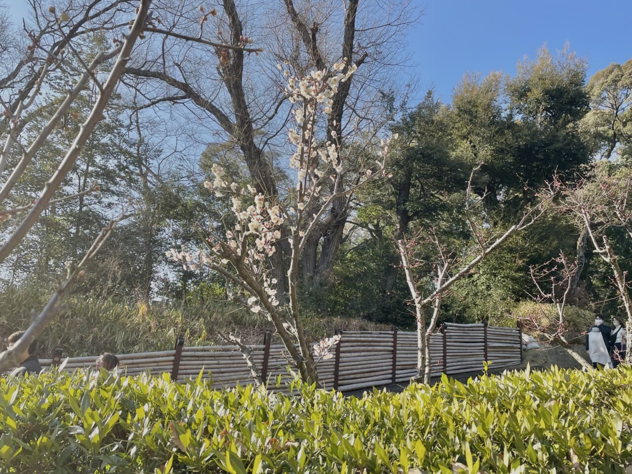 上宮天満宮