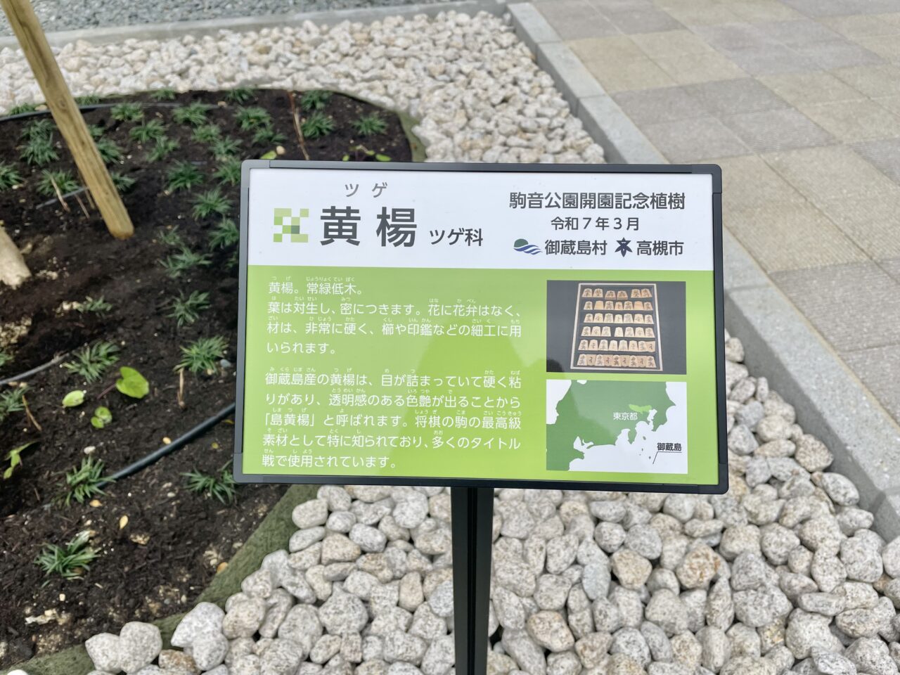 駒音公園