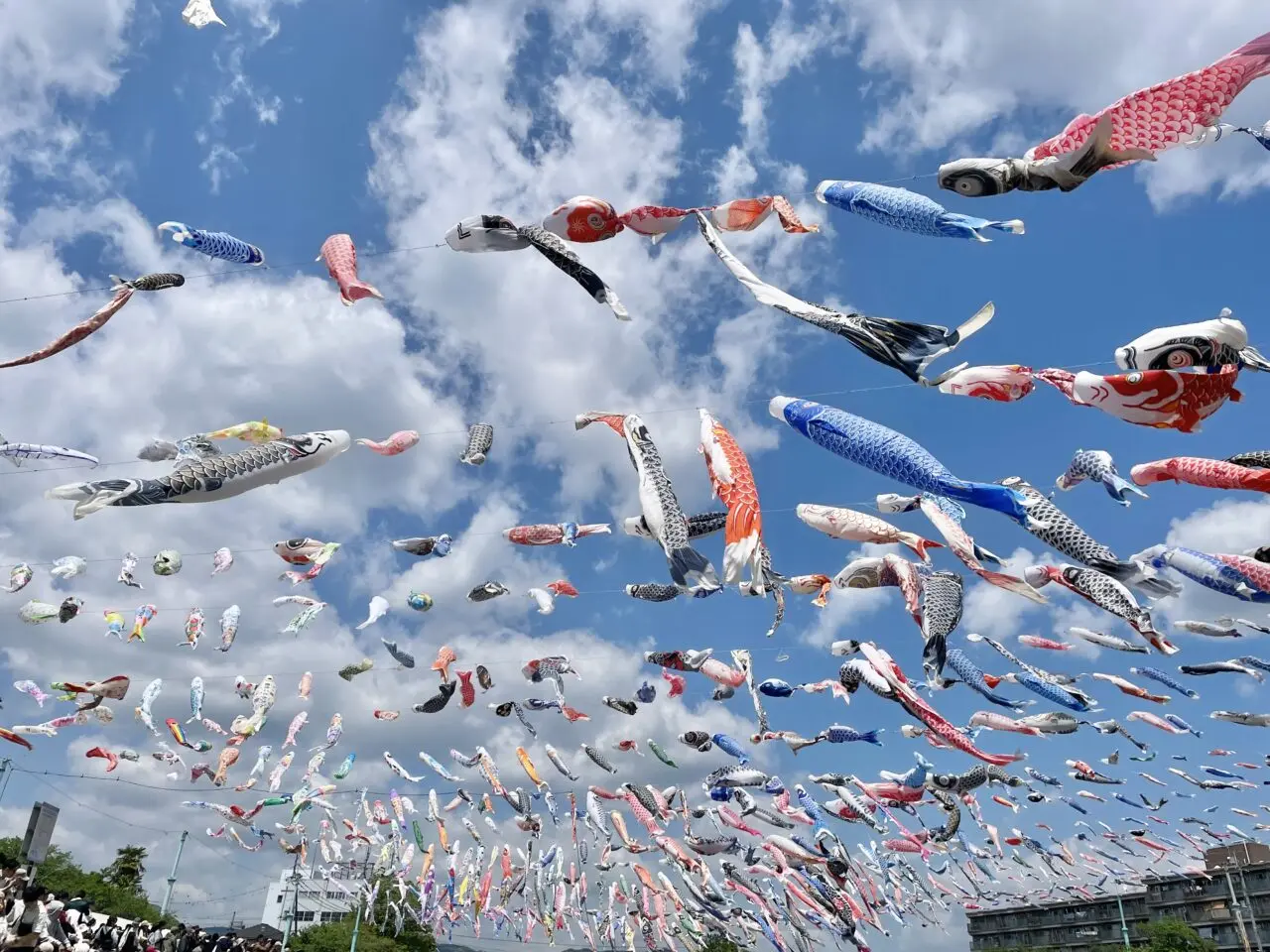 こいのぼりフェスタ1000