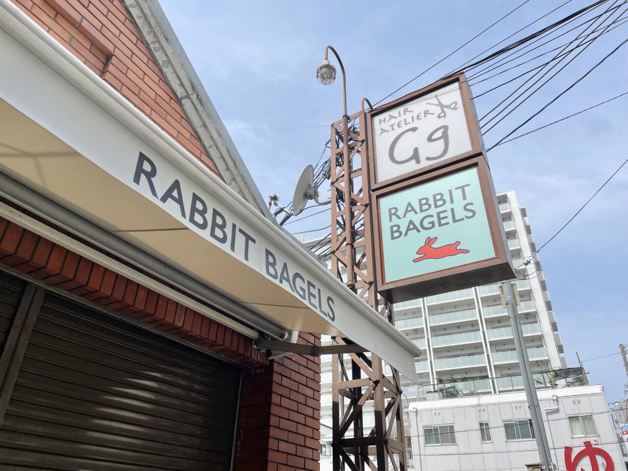 RABBIT BAGELES