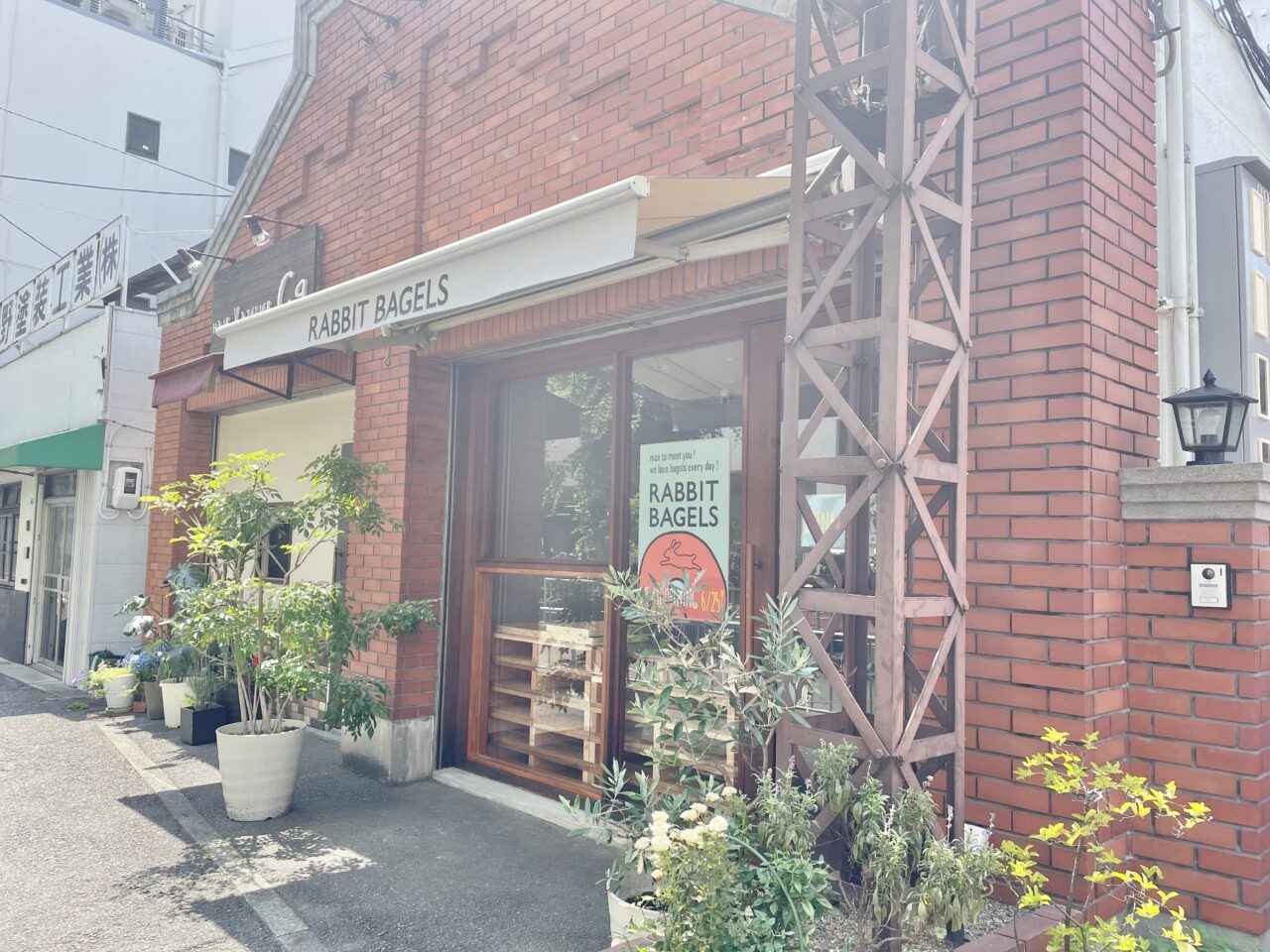 ラビットベーグル