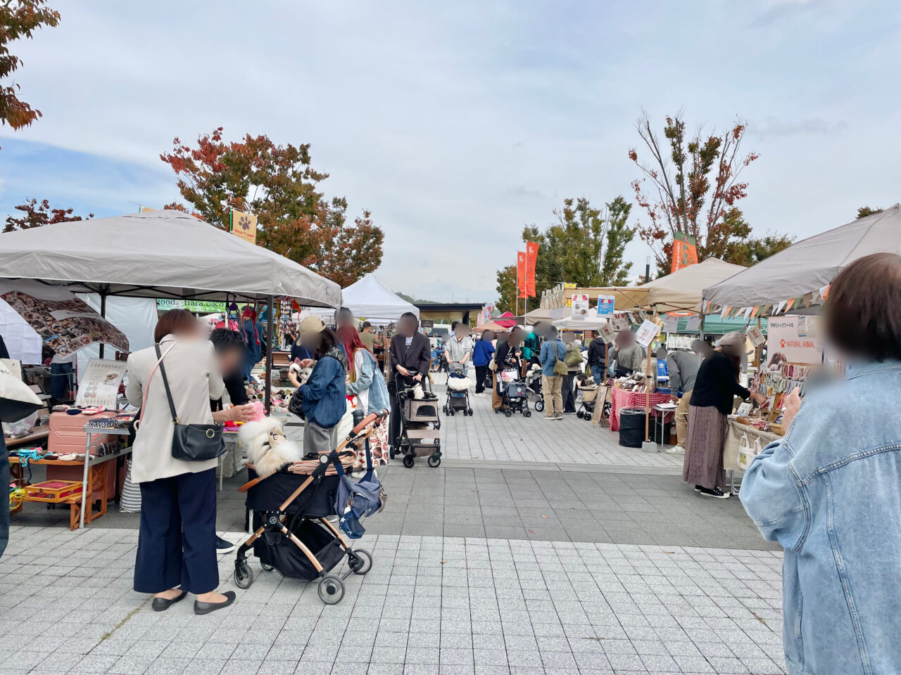 わんことマルシェ